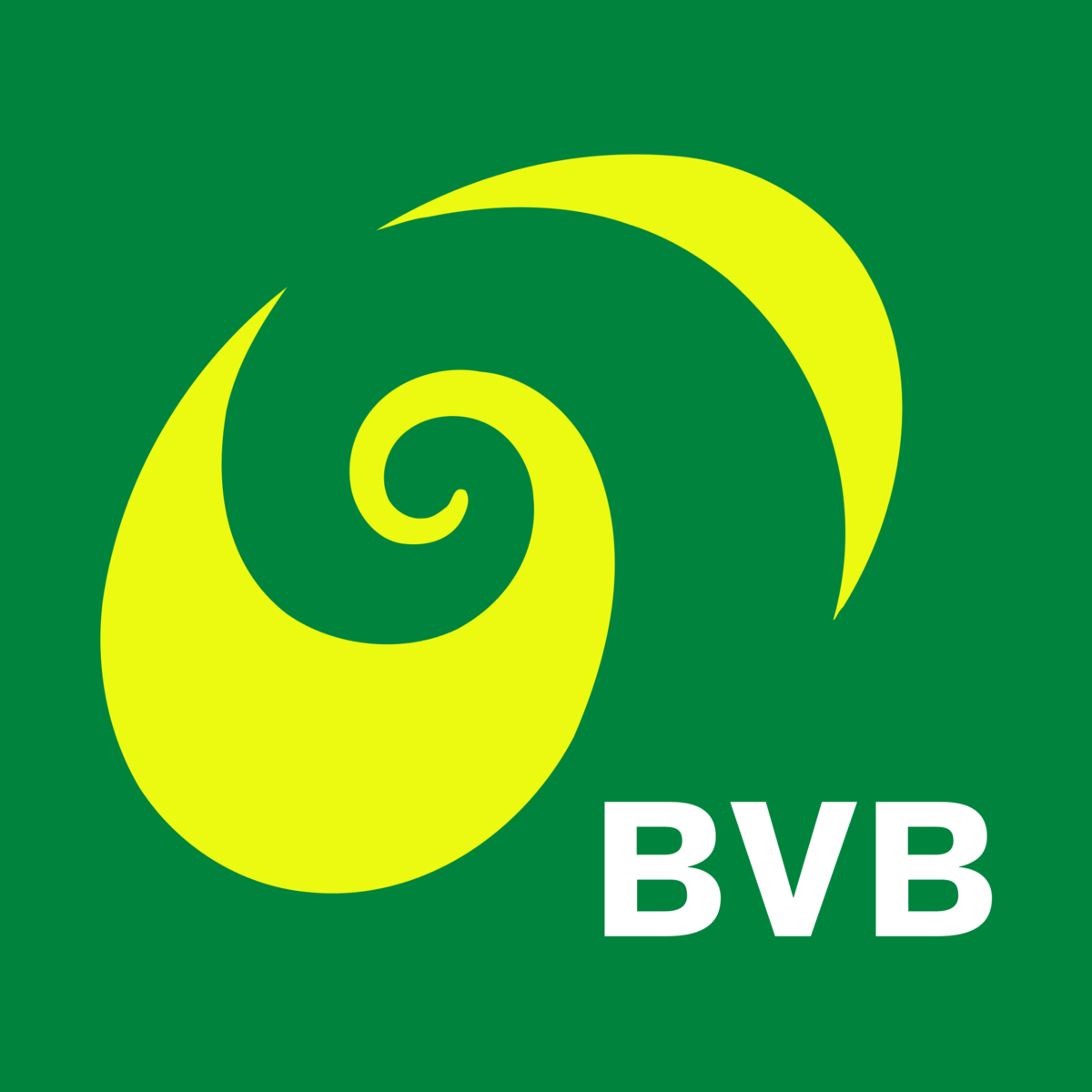 Basler Verkehrsbetriebe BVB, Basel